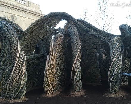 Botanical Garden Sculpture