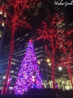 New York Christmas Tree