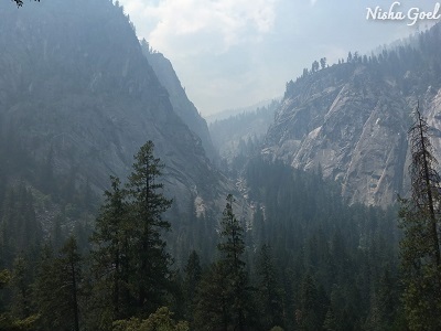 Hazy Image of More Trees and The Park